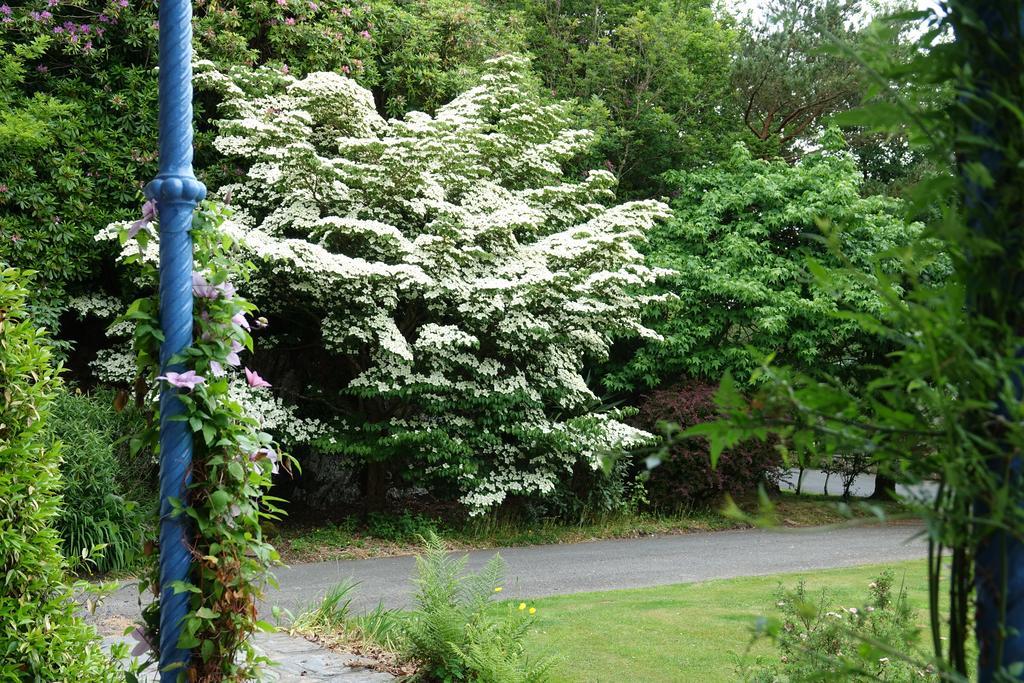 Borthwnog Hall Dolgellau Bagian luar foto