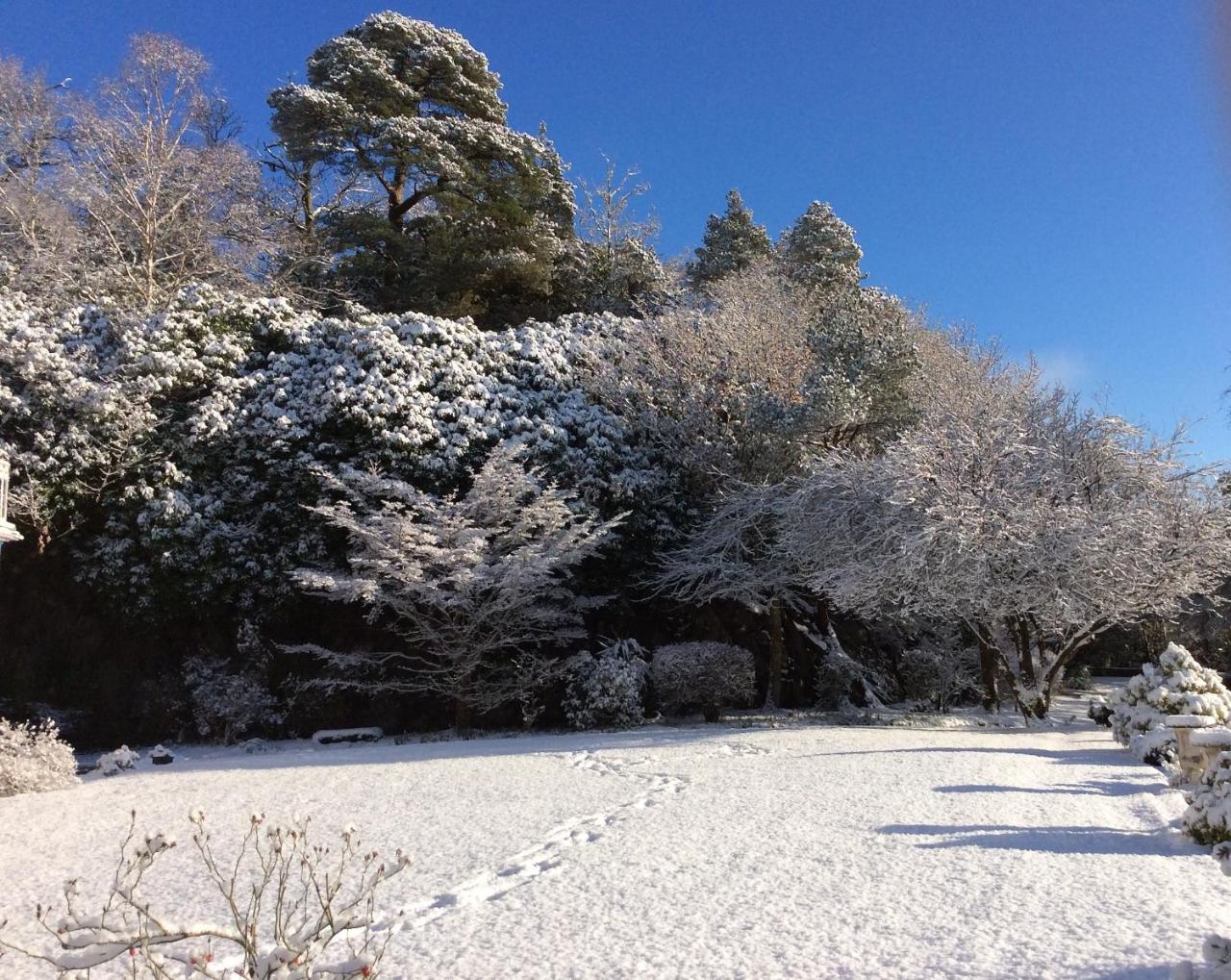 Borthwnog Hall Dolgellau Bagian luar foto