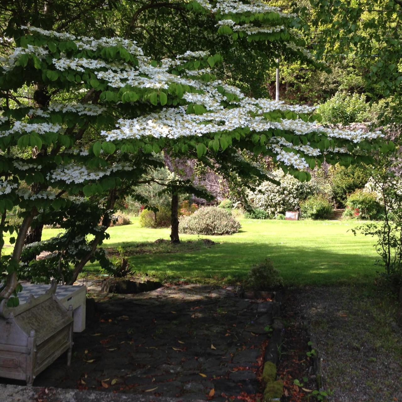 Borthwnog Hall Dolgellau Bagian luar foto